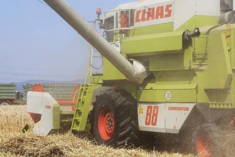 Agriculture grain harvest (Rhineland-Palatinate, July 2020)