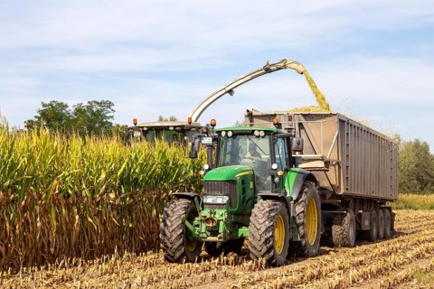 Rhineland-Palatinate, Germany: Maize harvesting (maize chopping) for the Alexanderhof biogas plant