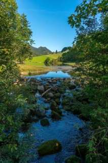 Leckner Ach, Lecknersee, humpback meadow, water reflection, municipality of Dornbirn,