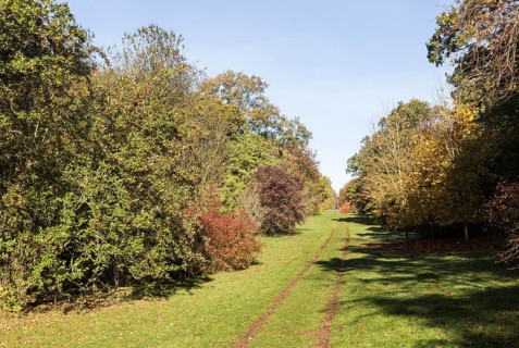 Pathway through National arboretum, Westonbirt arboretum, Gloucestershire, England, UK