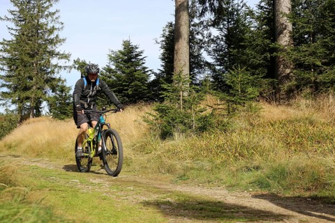 Mountain bike tour through the Bavarian Forest with the DAV Summit Club: Mountain bikers in the