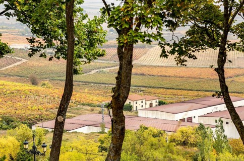 View of vineyards with autumn colours from Laguardia, Alava, Basque Country, northern Spain