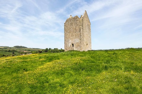 Dovecote ruin famous local landmark town of Bruton, Somerset, England, UK