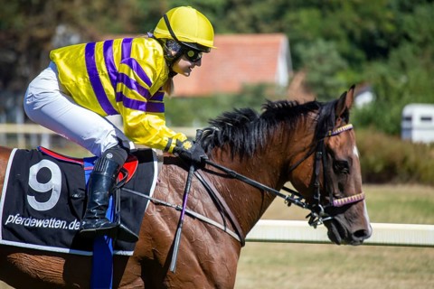 Race day at the racecourse in Hassloch, Palatinate. Galloping out after the Mueller Bau GmbH Prize