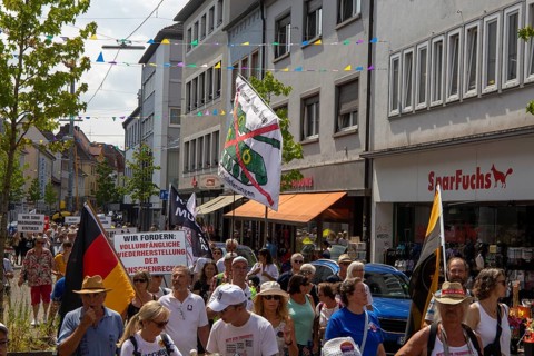Demonstration in Landau, Palatinate: The demonstration was directed against the government's