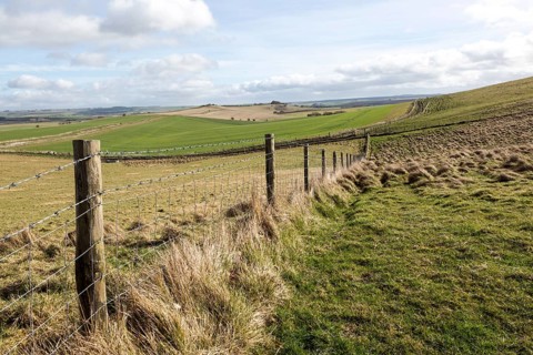 Undulating countryside upland chalk landscape in winter downland area of North Wessex Downs, near