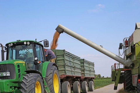 Agriculture grain harvest (Rhineland-Palatinate, July 2020)