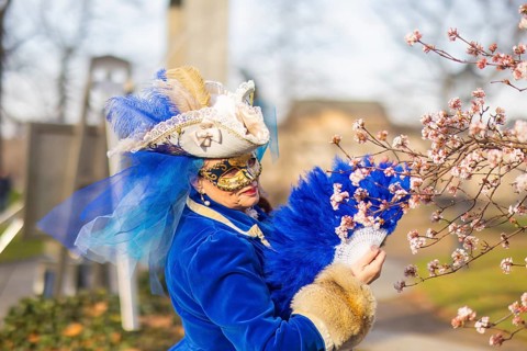 LUST & PASSION & JOY OF LIFE, for the joy of the masquerade, the Elbvenezian Carnival took place in