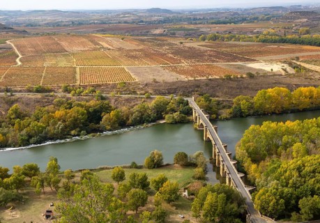 View over fields of grapevines and medieval bridge crossing River Ebro, San Vicente de la
