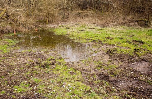 Mesolithic archaeological site of Blick Mead springs, Amesbury, Wiltshire, England, UK