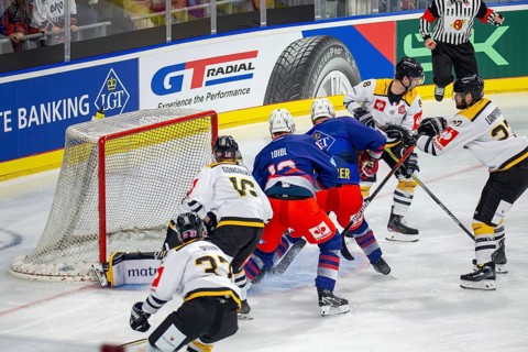 Game scene Adler Mannheim against Rouen Dragons (Champions Hockey League)