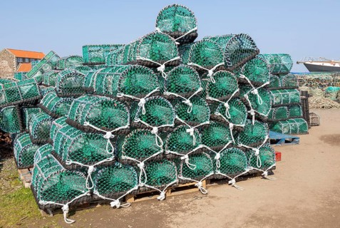 Piles of new lobster pots on Holy Island, Lindisfarne, Northumberland, England, UK