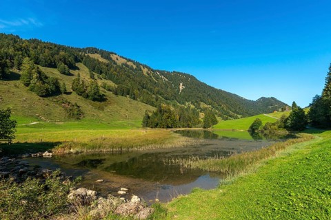 Alpine pasture at Lecknersee, humpback meadow, water reflection, municipality of Dornbirn,