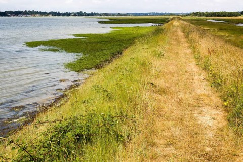 Summer landscape flood defence river wall path on River Deben tidal estuary, Sutton, Suffolk,