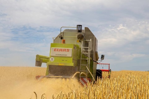 Grain harvest in the district of Bad Duerkheim (Rhineland-Palatinate)