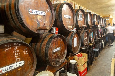 Antigua Casa Del Guardia traditional wine bar Malaga, Andalusia, Spain barrels of sherry and wines