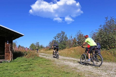 Mountain bike tour through the Bavarian Forest with the DAV Summit Club: Mountain bikers on the