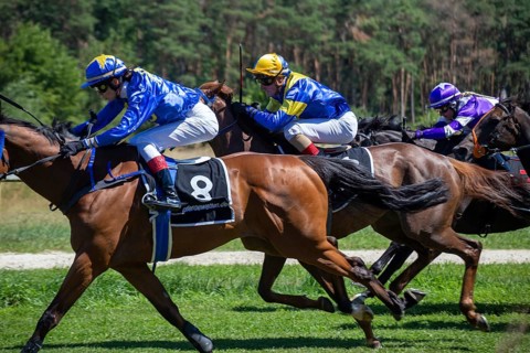 Race day at the racecourse in Hassloch, Palatinate. Prize of St. Hippolyt/Muehle Ebert & Gestuet