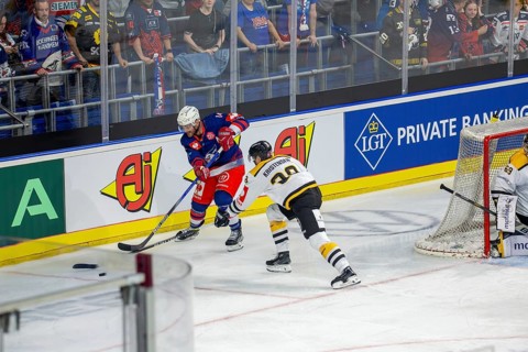 Game scene Adler Mannheim against Rouen Dragons (Champions Hockey League)