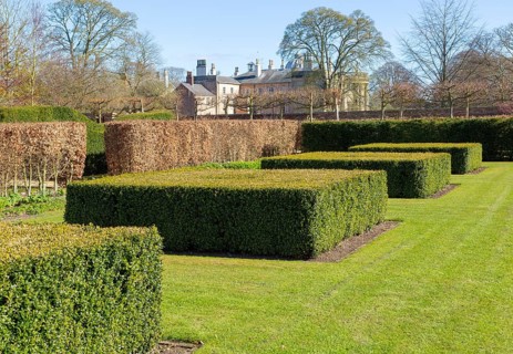 Garden designed by Piet Oudolf at Scampston Hall, Yorkshire, England, UK, Spring Box Garden