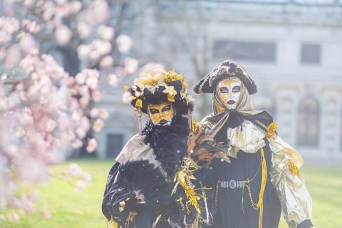 LUST & PASSION & JOY OF LIFE, for the joy of the masquerade, the Elbvenezian Carnival took place in