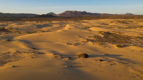 Sand dunes near Corralejo, shifting sand dunes, Fuerteventura, Canary Islands, Spain, Europe