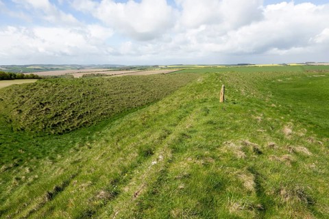 Defensive ramparts and ditch Yarnbury Castle, Iron Age hill fort, Wiltshire, England, UK