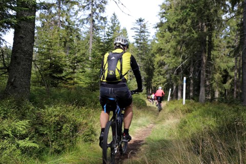 Mountain bike tour through the Bavarian Forest with the DAV Summit Club: Mountain bikers in the