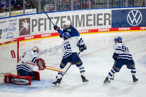 26.01.2024, DEL, German Ice Hockey League, Matchday 41) : Adler Mannheim vs Iserlohn Roosters