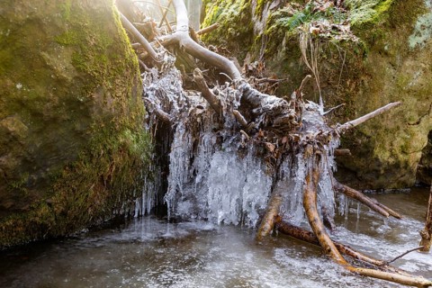 Severe frost has formed bizarre ice formations in the riverbed of the Gottleuba, Bergieshuebel,