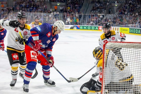 Game scene Adler Mannheim against Rouen Dragons (Champions Hockey League)