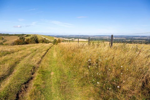 Track along top of chalk scarp escarpment slope of Inkpen Hill, at Walbury Camp, Berkshire,