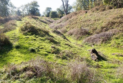 Sidbury Camp or Sidbury Hill Iron Age hill fort, Haxton Down, near Everleigh, Wiltshire, England,
