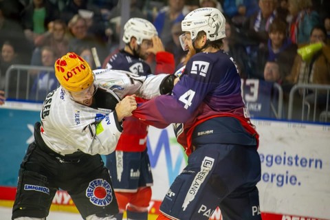 Adler Mannheim v Fischtown Pinguins Bremerhaven (PENNY DEL, German Ice Hockey League) : Fistfight