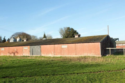 Exterior of indoor pig unit in farmyard at Sutton, Suffolk, England, UK