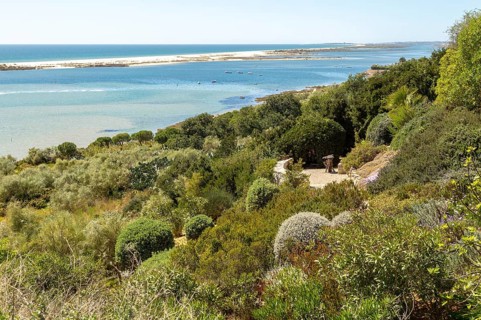 Coastal wooded landscape of pristine beaches and lagoon behind offshore sandbar, Cacela Velha, Vila