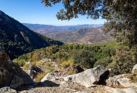 Ruta Botanica waking route from Area Recreativa El Alcazar, Sierra Tejeda natural park, Alcaucin,