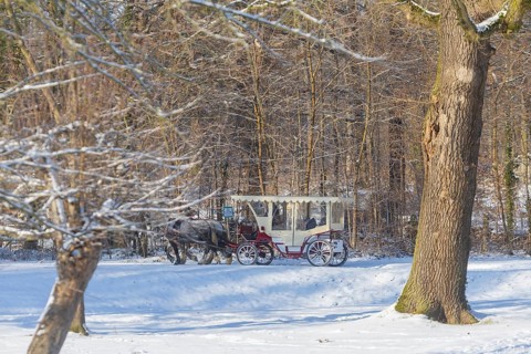 Carriage ride along the canal between the hunting lodge and the Fasanenschloesschen, Moritzburg,