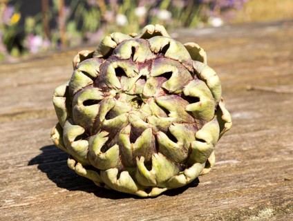 Close up of leaves at top of globe artichoke fruit on wooden table surface