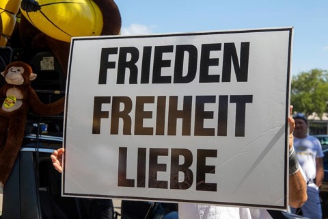 Demonstration in Landau, Palatinate: The demonstration was directed against the government's