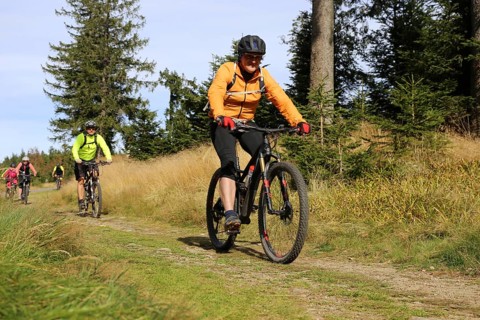 Mountain bike tour through the Bavarian Forest with the DAV Summit Club: Mountain bikers in the