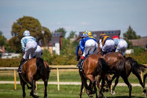 Race day at the racecourse in Hassloch, Palatinate. Prize of St. Hippolyt/Muehle Ebert & Gestuet