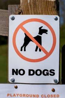 Macro close up of No Dogs sign on fencepost, Sutton, Suffolk, England, UK