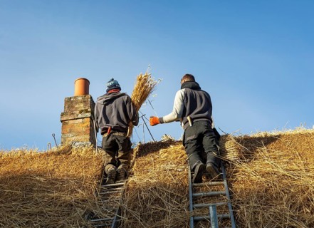 Thatchers working on roof of thatched country cottage, Great Bedwyn village, Wiltshire, England, UK