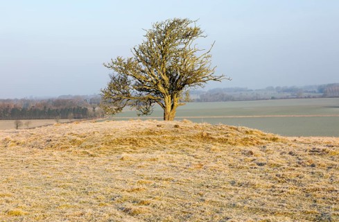 Bronze Age bowl barrow on Windmill Hill, a Neolithic causewayed enclosure, near Avebury, Wiltshire,