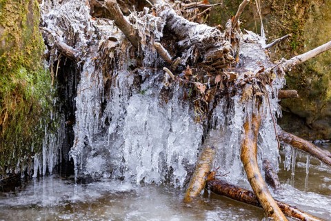 Severe frost has formed bizarre ice formations in the riverbed of the Gottleuba, Bergieshuebel,