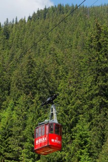 A red cable car gondola hovering over dense fir trees in a mountain forest, Balea Cascada cable car