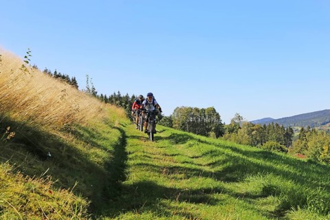 Mountain bike tour through the Bavarian Forest with the DAV Summit Club: Descent in a meadow paths
