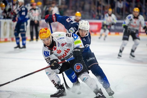 Game scene Adler Mannheim against Fischtown Pinguins Bremerhaven (PENNY DEL, German Ice Hockey