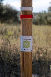 Signpost waymark for long distance footpath GR-249, Gran Senda de Malaga, Periana, Axarquia,
